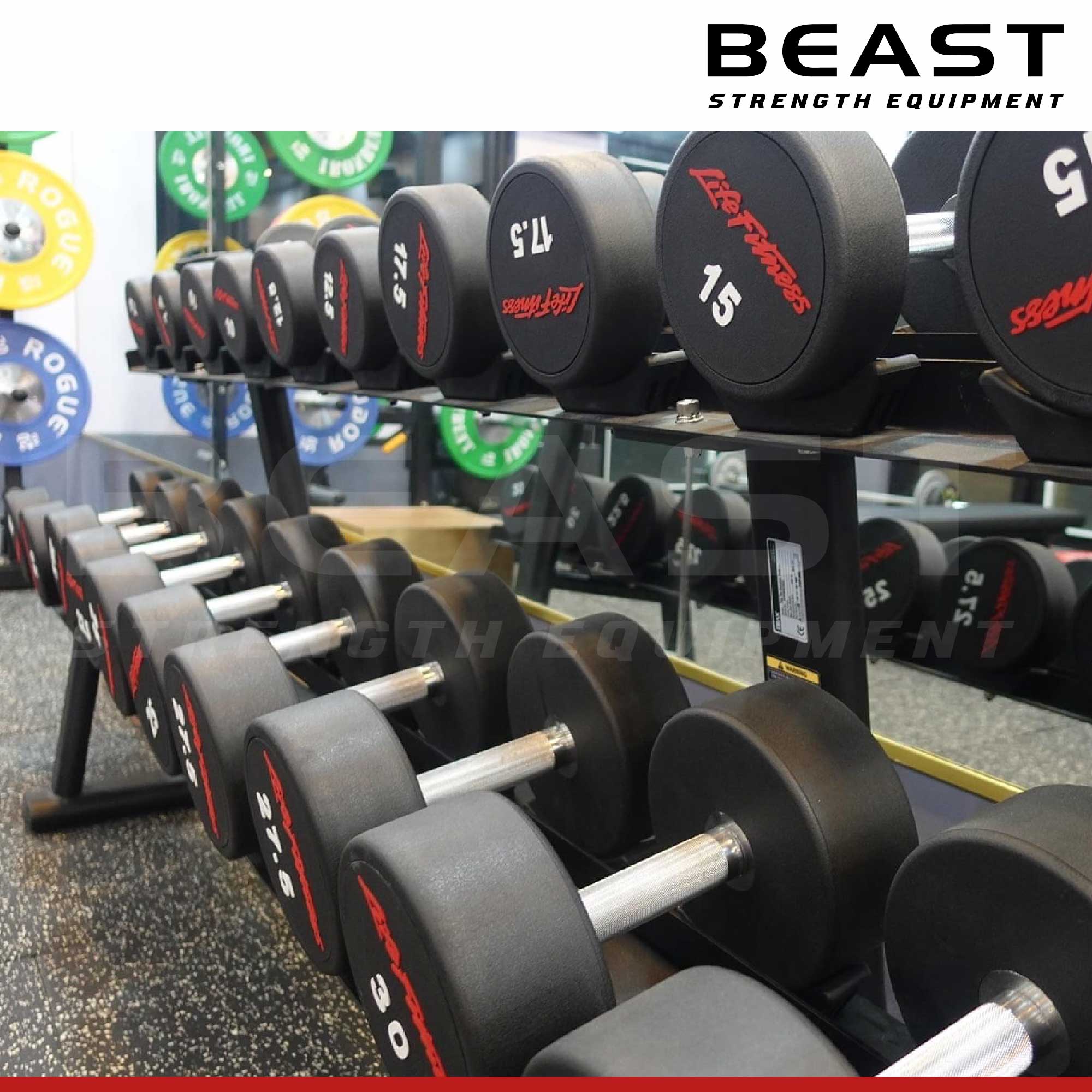 Tạ tay Life Fitness 8 Tạ tay Life Fitness