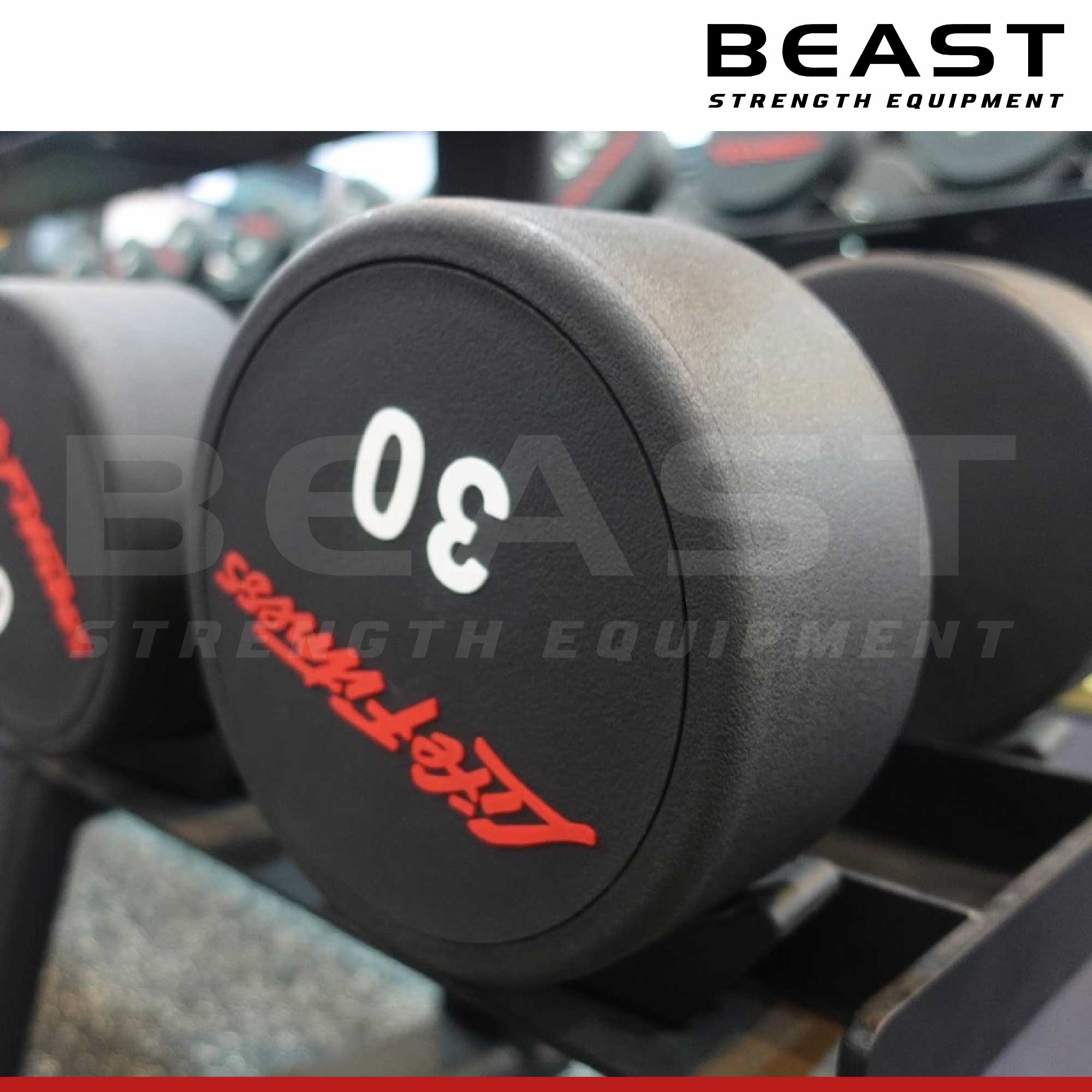 Tạ tay Life Fitness