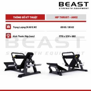 Máy tập mông A600 Series Hip Thrust A602
