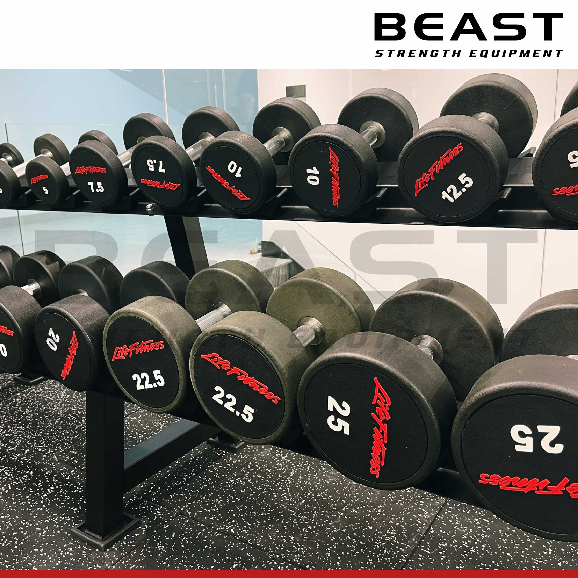 Tạ tay Life Fitness