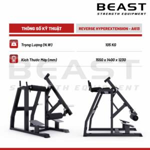 Máy tập mông A600 Series Reverse Hyperextension A613