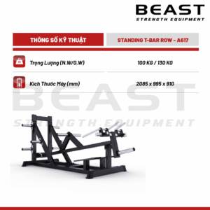Máy tập lưng A600 Series Standing T-Bar Row A617