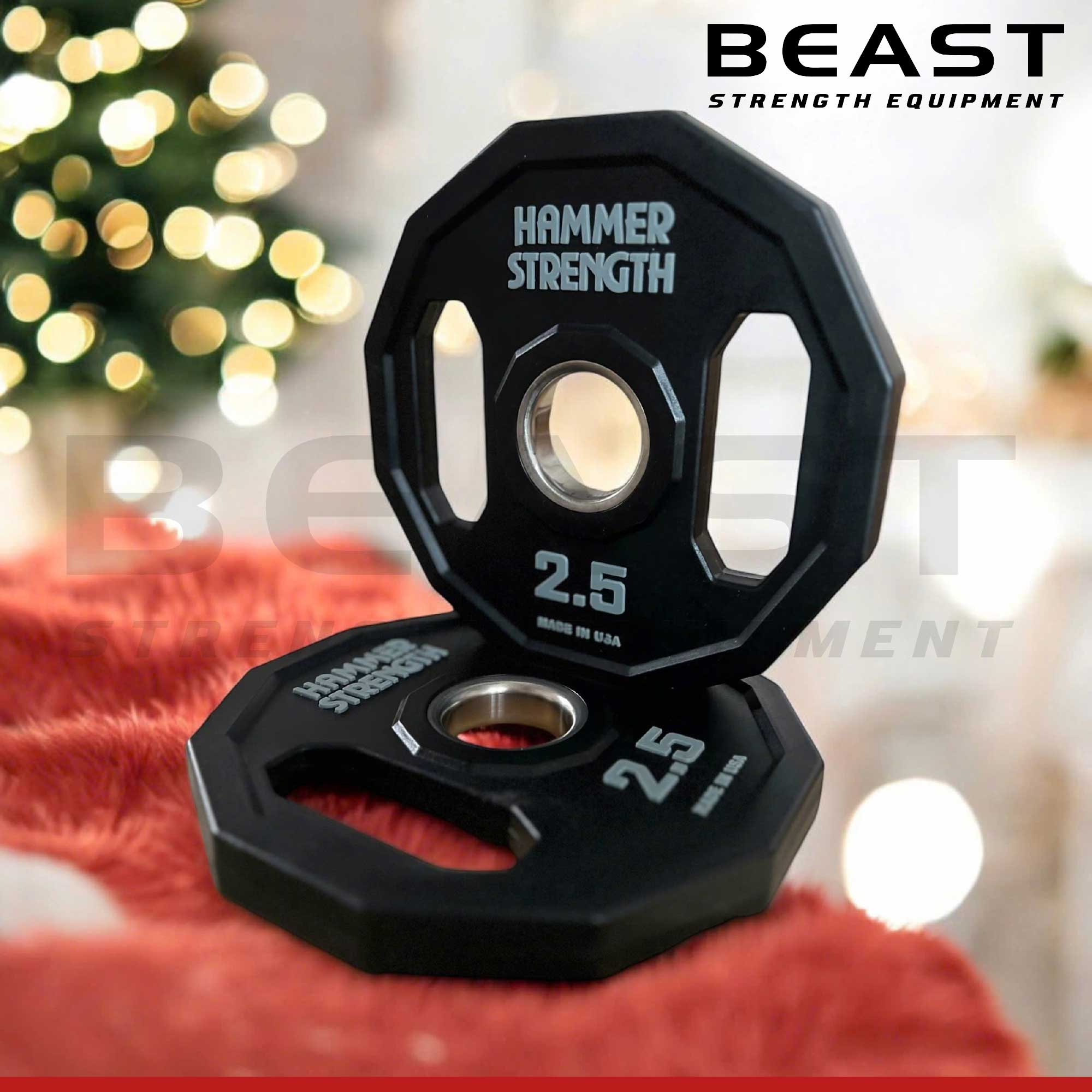 Tạ đĩa Hammer Strength 12 cạnh