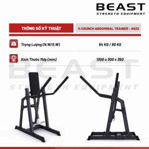 Máy tập bụng A600 Series V Crunch Abdominal A623