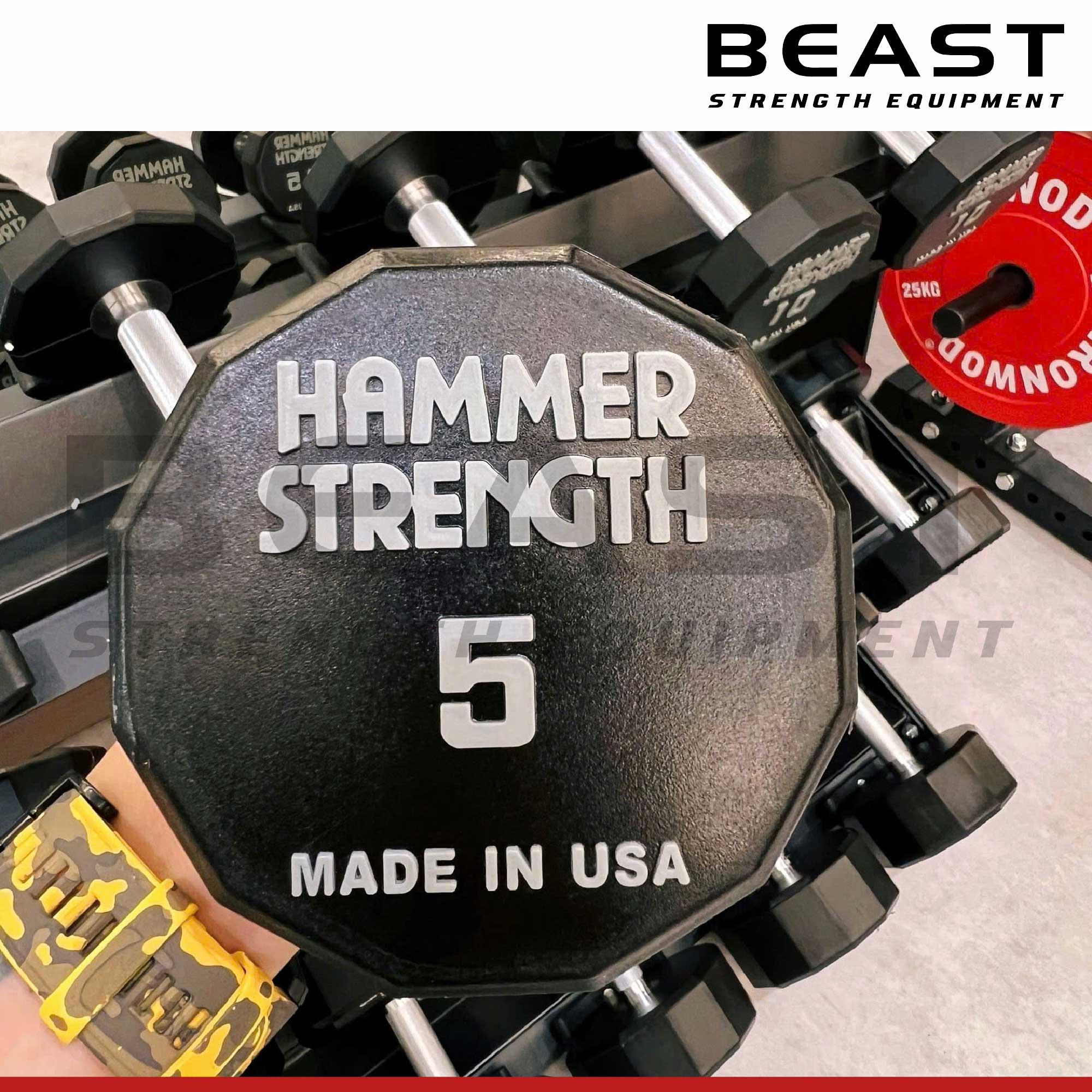 Tạ tay Hammer Strength 12 cạnh