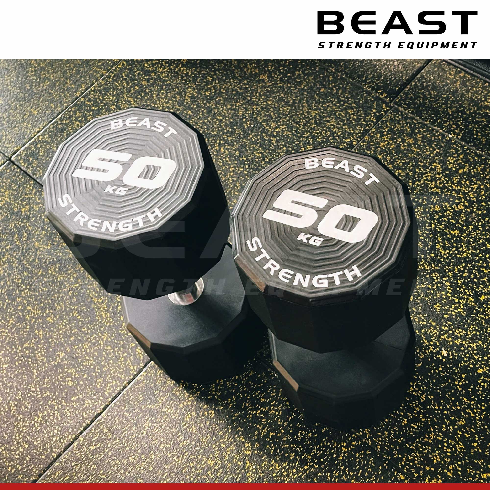 Tạ tay Beast Strength 12 cạnh