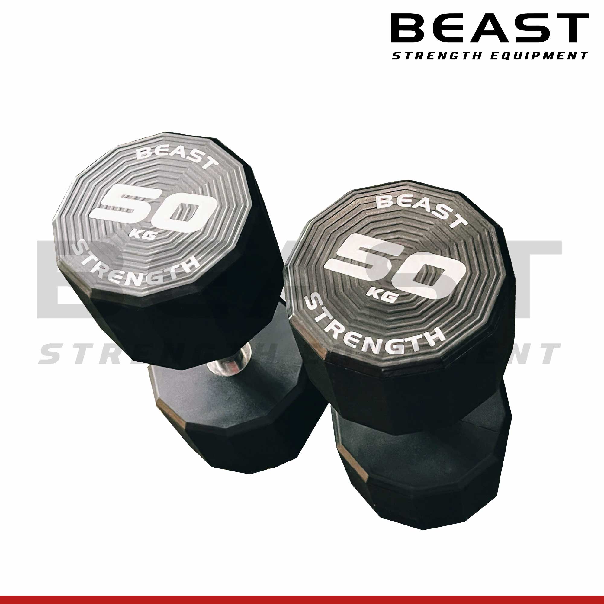 Tạ tay Beast Strength 12 cạnh