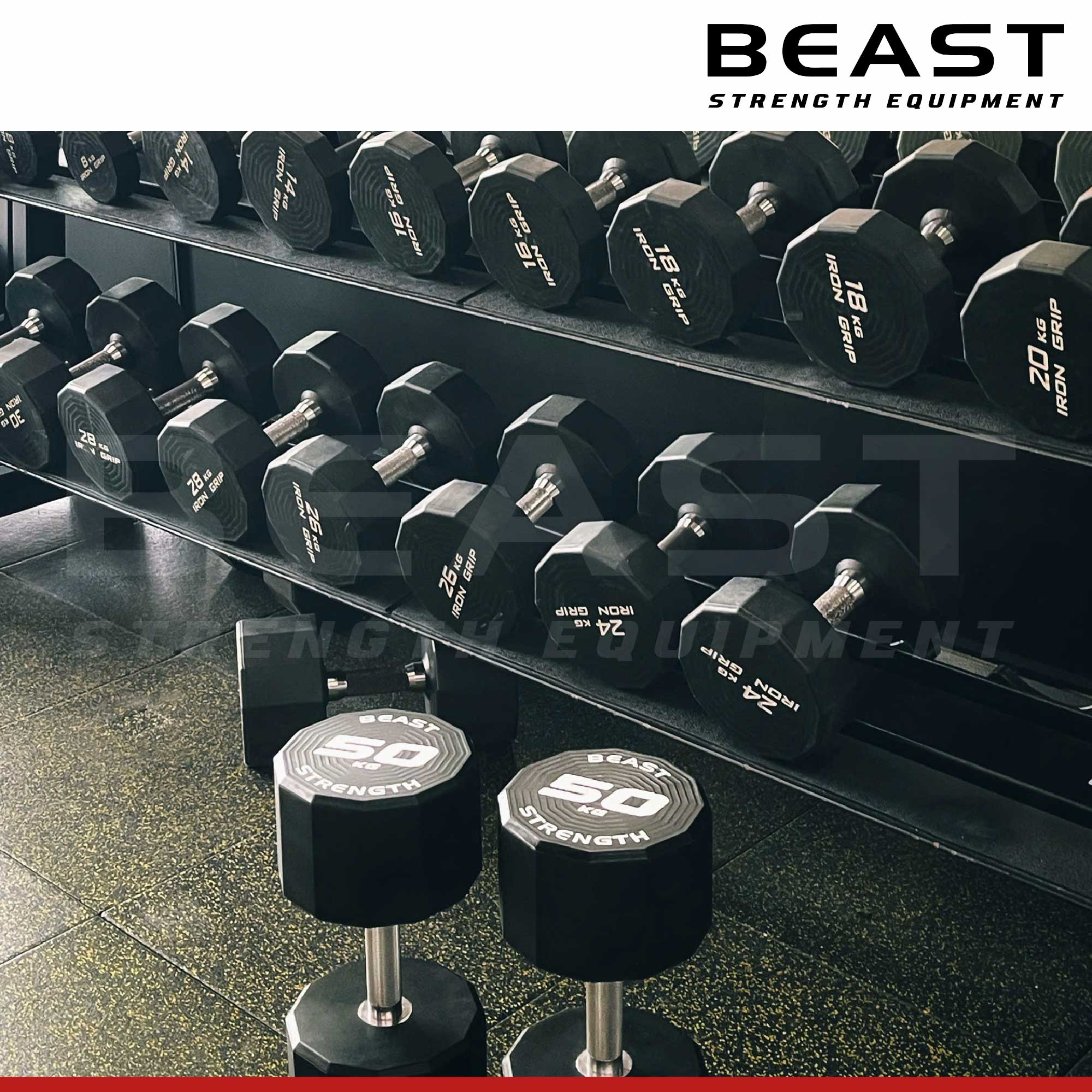 Tạ tay Beast Strength 12 cạnh