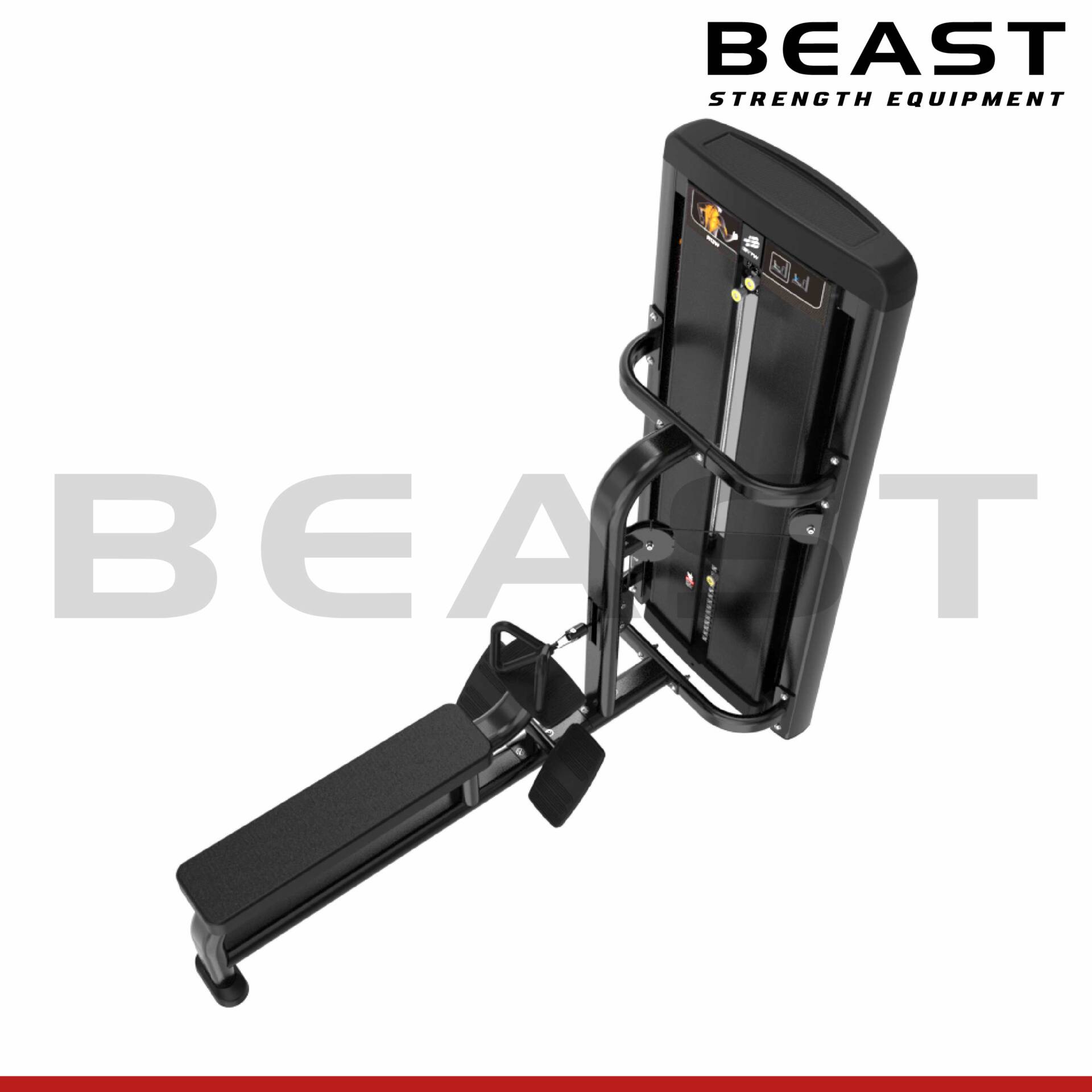 Máy kéo lưng Predator Low Row