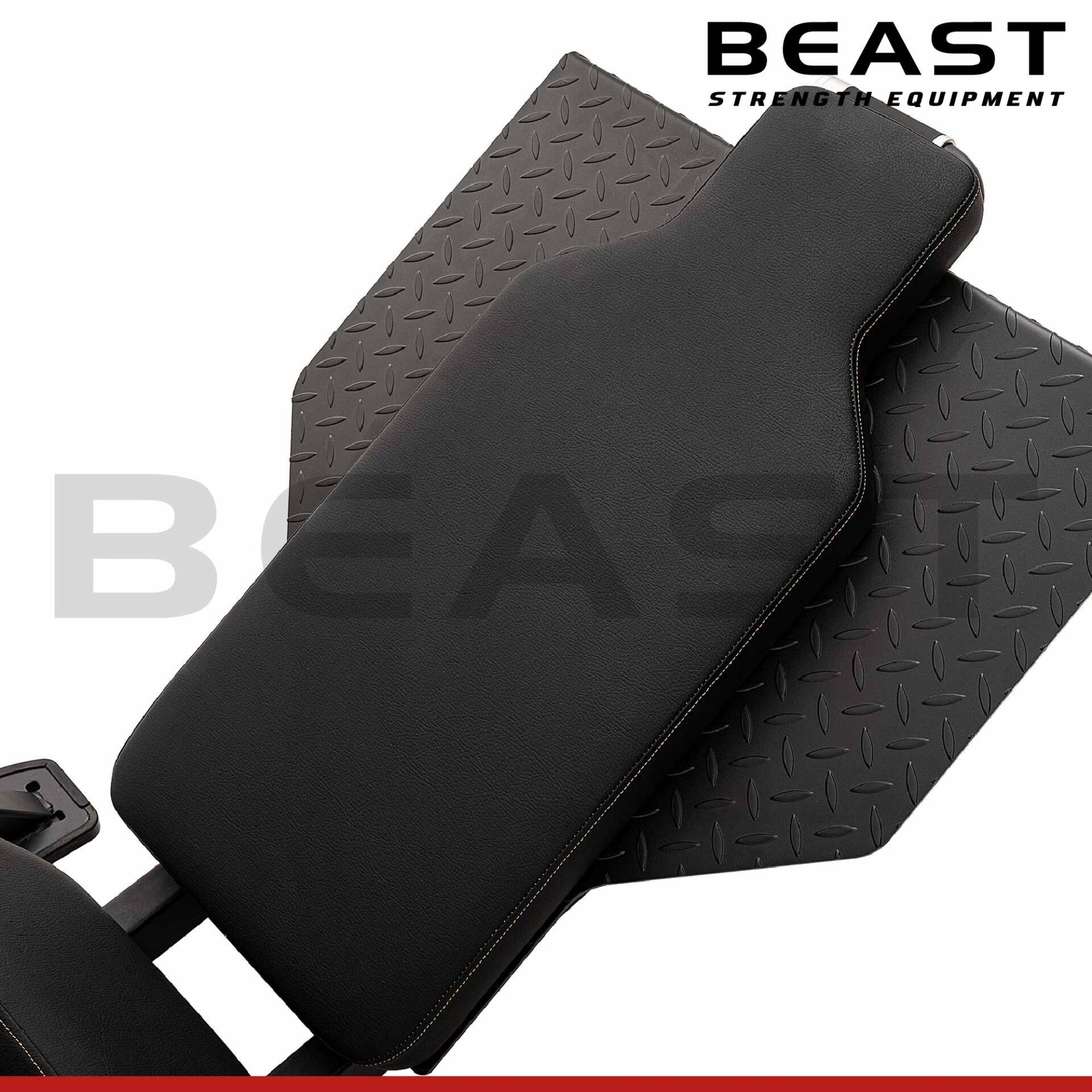 Máy tập chân S500 Diamond Leg Press & Hack Squat 7 Máy tập chân S500 Diamond Leg Press & Hack Squat