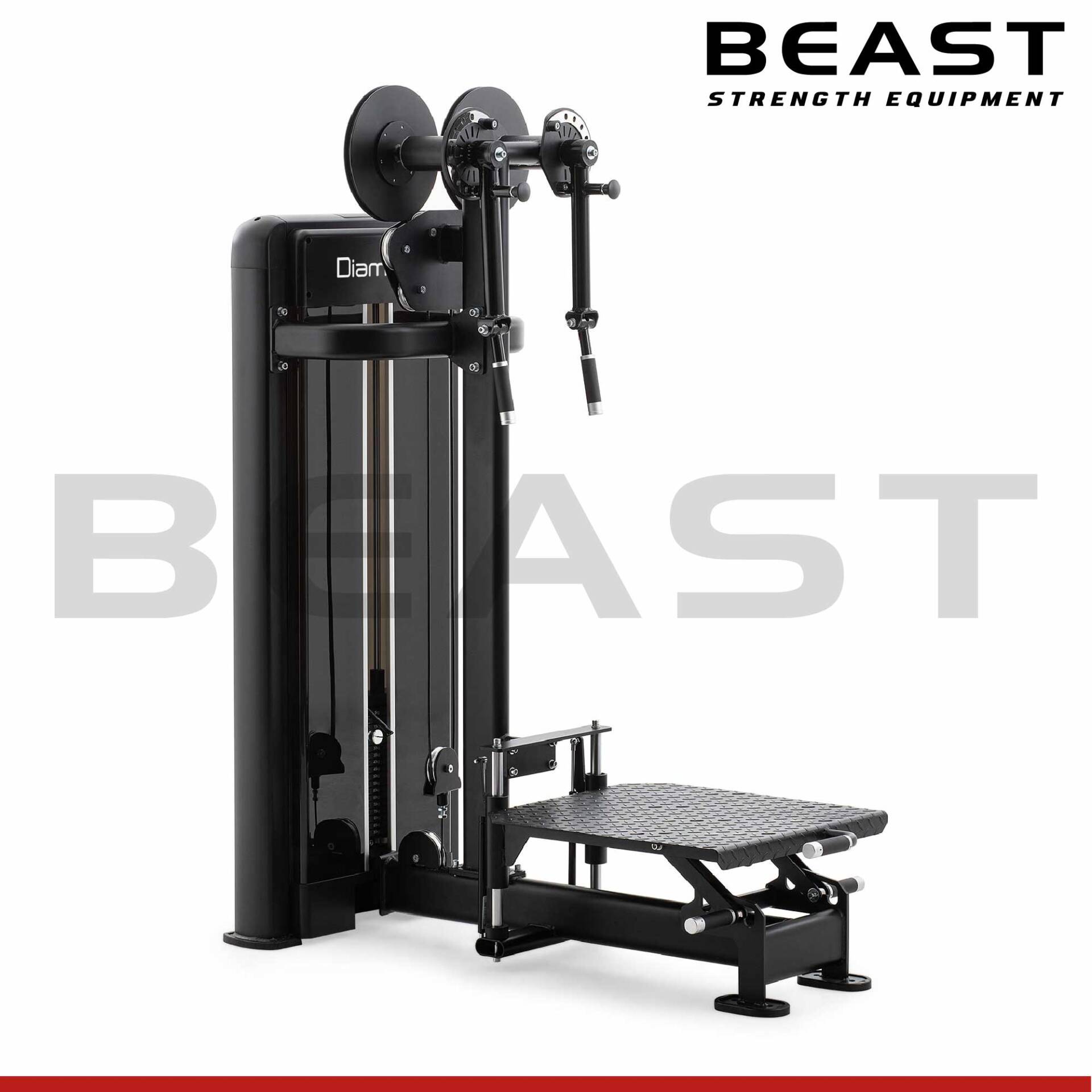 Máy tập vai ngực S550 Diamond Multi Fly Chest And Shoulder