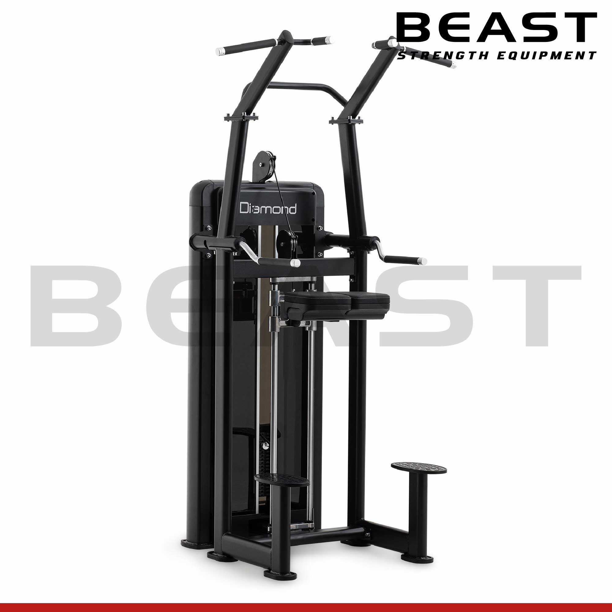 Máy tập lưng S550 Diamond Chin Up And Dip