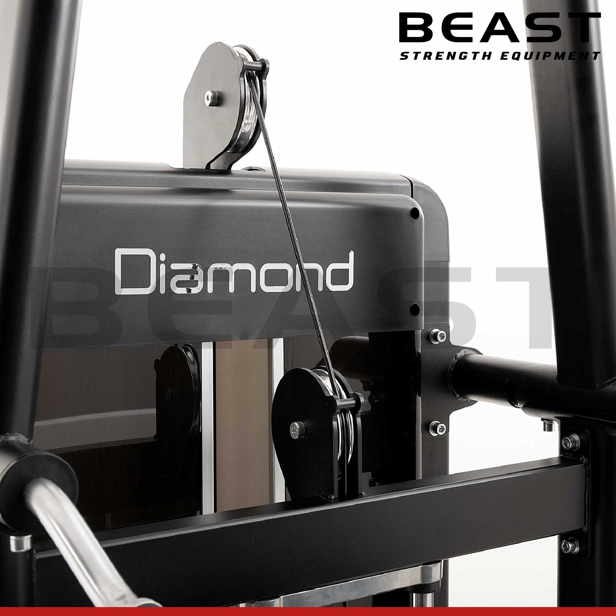 Máy tập lưng S550 Diamond Chin Up And Dip