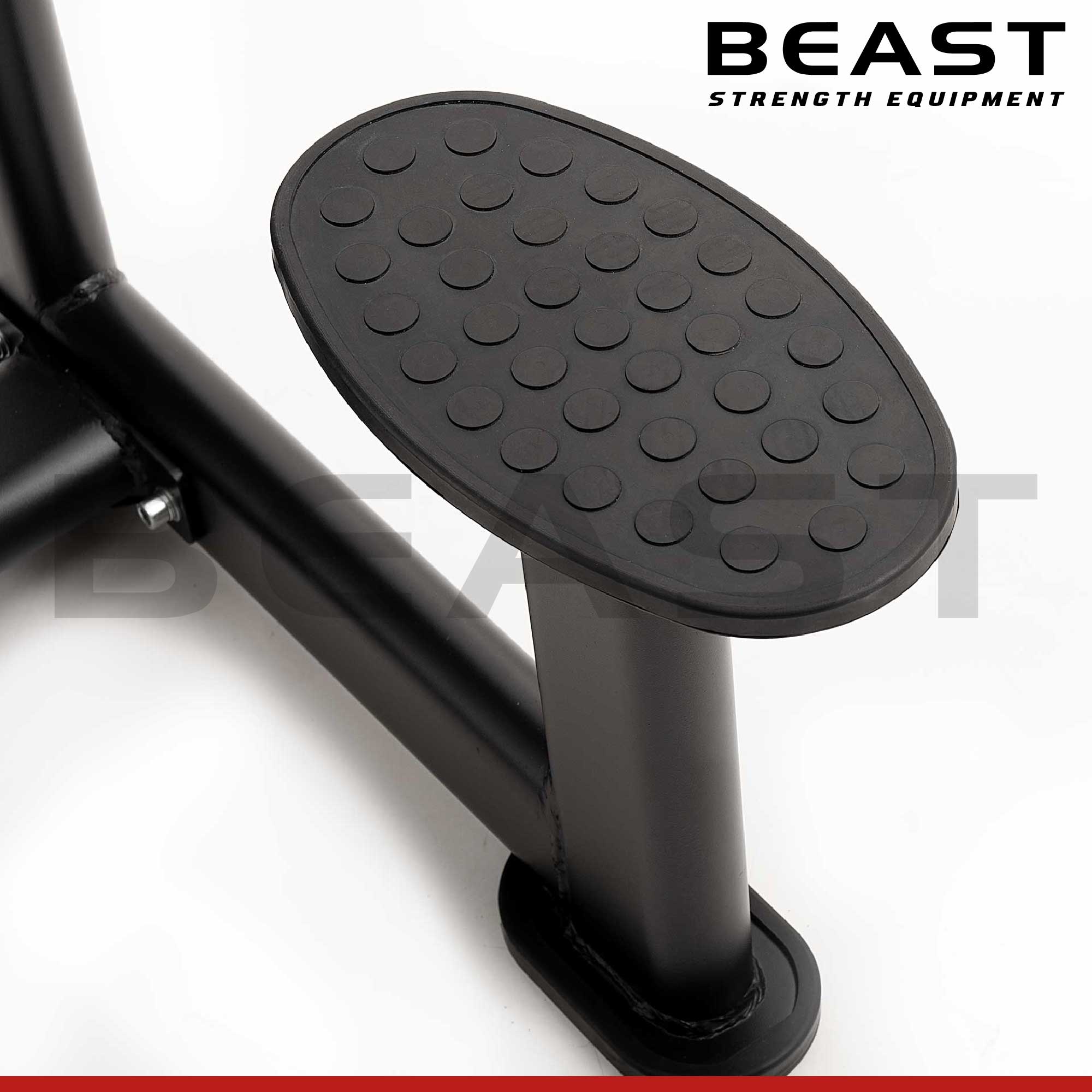 Máy tập lưng S550 Diamond Chin Up And Dip