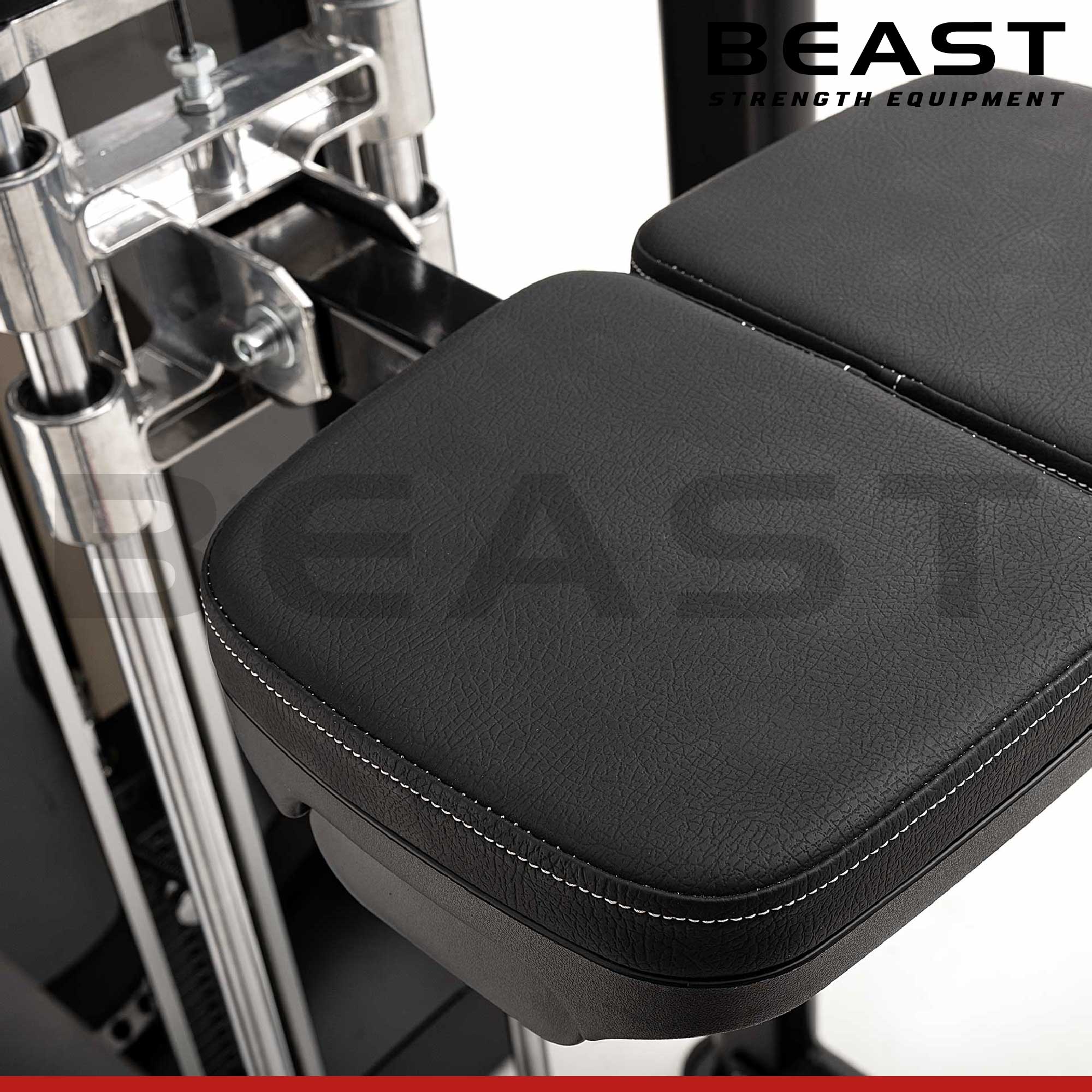 Máy tập lưng S550 Diamond Chin Up And Dip