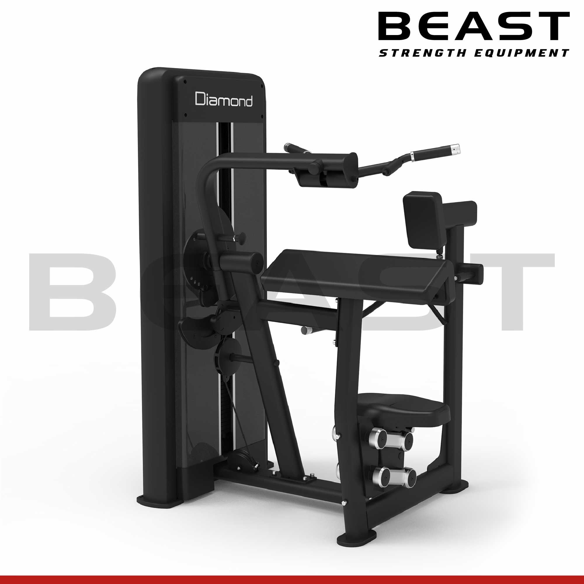 Máy tập tay S550 Diamond Biceps And Triceps
