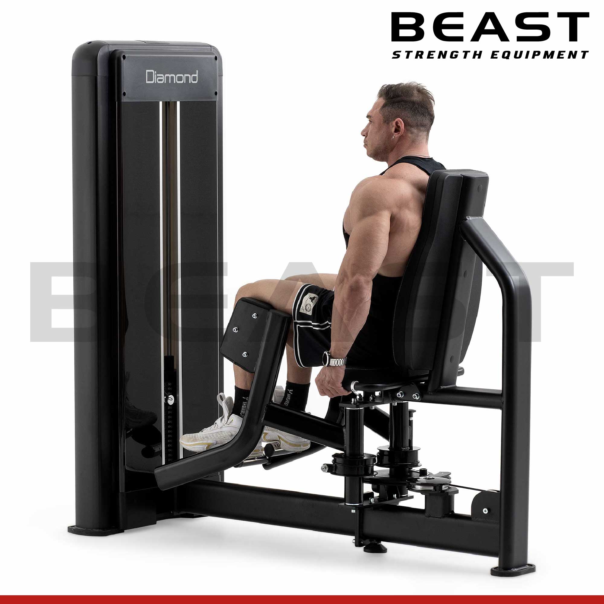 Máy tập chân mông S550 ABductor Machine