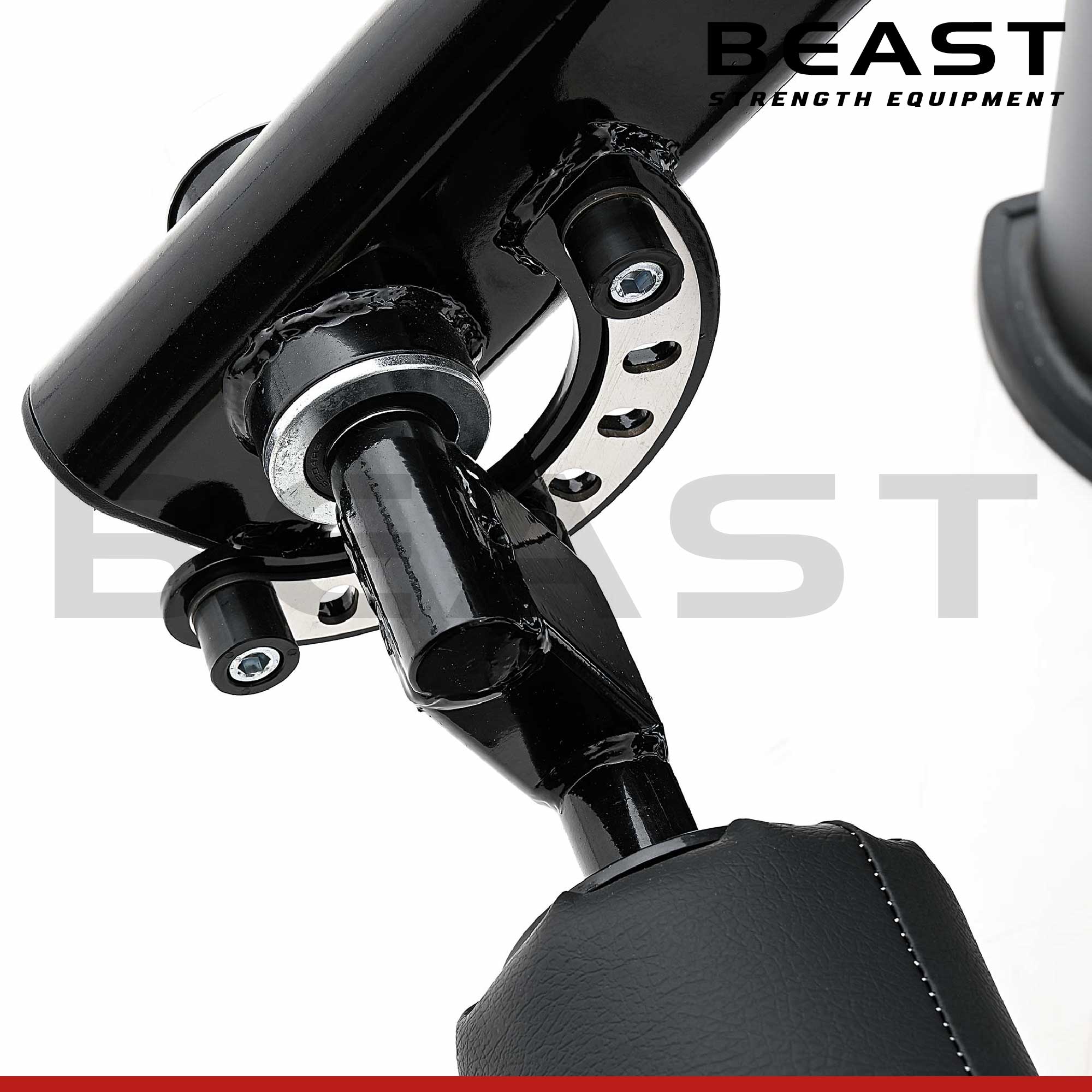 Máy đá đùi S550 Diamond Leg Extension