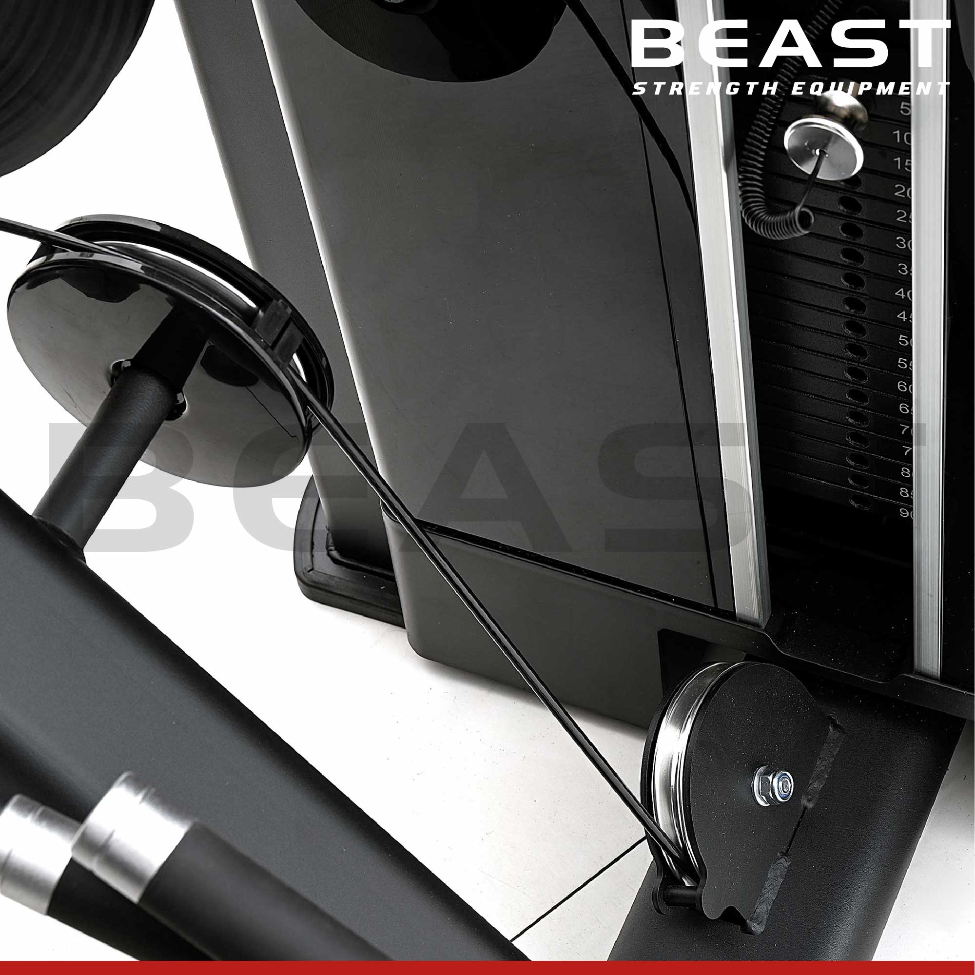 Máy đá đùi S550 Diamond Leg Extension 3 Máy đá đùi S550 Diamond Leg Extension